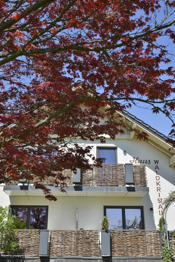 Pension Waldkristall Frauenau Exterior foto
